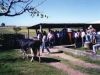 historia-remates-foto028