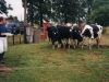 historia-remates-foto046