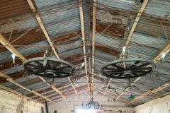 IMG_2116