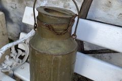 IMG_1859