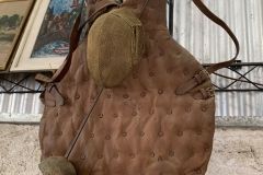 IMG_1972