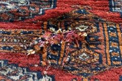 IMG_1985f