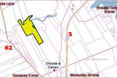 IMG_5000-Padron-7195-Visualizador-vectorial-cerca-amarillo