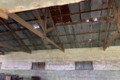 IMG_62141
