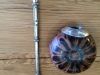 IMG_7337