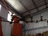 img_4398_redimensionar