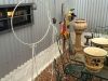 IMG_1955
