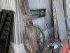 IMG_3582C