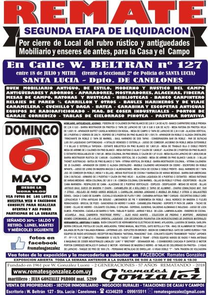 VOLANTE DE REMATE MAYO COLORES A4 2018