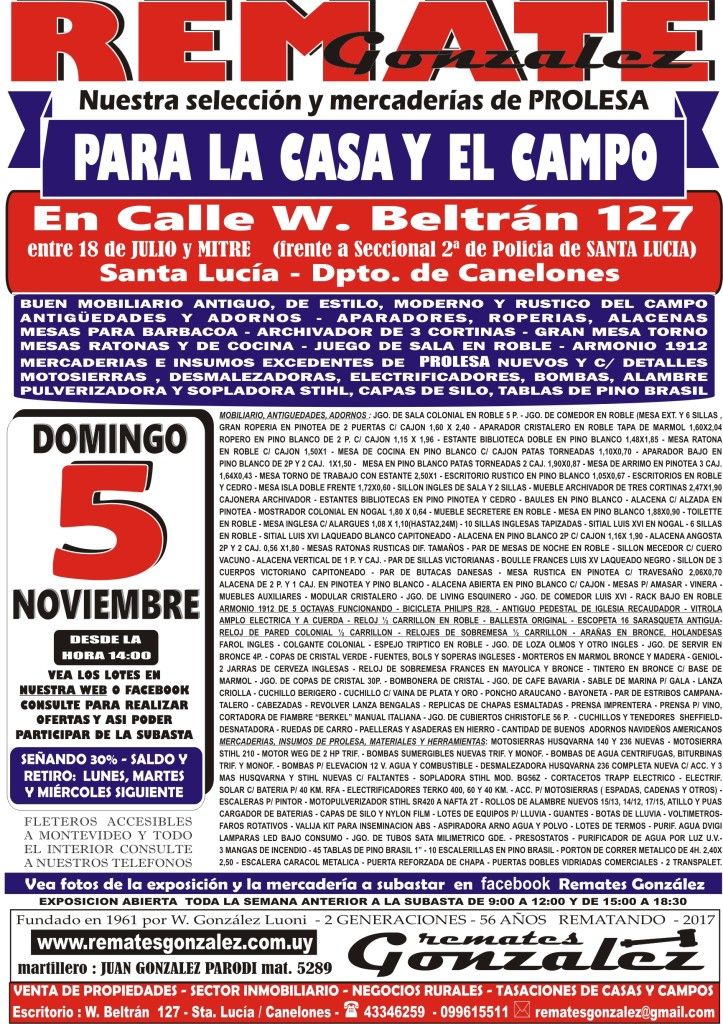 VOLANTE DE REMATE noviembre A4 COLORES 2017